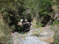 rrente Quarantore-20110911 039